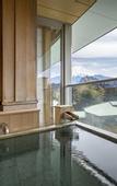 Туры в отель Fujisan Onsen Hotel Kaneyamaen