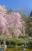 Туры в отель Fujisan Onsen Hotel Kaneyamaen