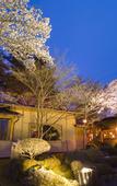 Туры в отель Fujisan Onsen Hotel Kaneyamaen