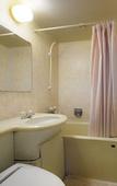 Туры в отель Fujisan Onsen Hotel Kaneyamaen