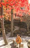 Туры в отель Fujisan Onsen Hotel Kaneyamaen