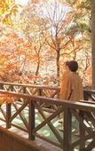 Туры в отель Fujisan Onsen Hotel Kaneyamaen