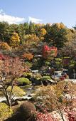 Туры в отель Fujisan Onsen Hotel Kaneyamaen
