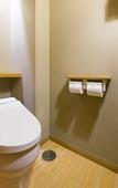 Туры в отель Fujisan Onsen Hotel Kaneyamaen