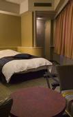 Туры в отель Fujisan Onsen Hotel Kaneyamaen