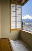 Туры в отель Fujisan Onsen Hotel Kaneyamaen