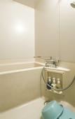 Туры в отель Fujisan Onsen Hotel Kaneyamaen