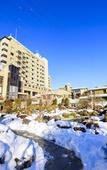 Туры в отель Fujisan Onsen Hotel Kaneyamaen