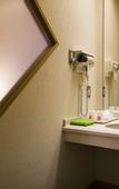 Туры в отель Fujisan Onsen Hotel Kaneyamaen