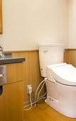 Туры в отель Fujisan Onsen Hotel Kaneyamaen