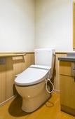 Туры в отель Fujisan Onsen Hotel Kaneyamaen