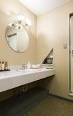 Туры в отель Fujisan Onsen Hotel Kaneyamaen