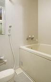 Туры в отель Fujisan Onsen Hotel Kaneyamaen