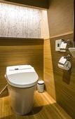 Туры в отель Fujisan Onsen Hotel Kaneyamaen