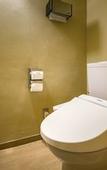 Туры в отель Fujisan Onsen Hotel Kaneyamaen