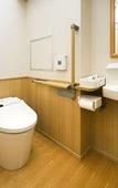 Туры в отель Fujisan Onsen Hotel Kaneyamaen