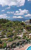 Туры в отель Fujisan Onsen Hotel Kaneyamaen