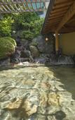 Туры в отель Fujisan Onsen Hotel Kaneyamaen