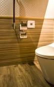 Туры в отель Fujisan Onsen Hotel Kaneyamaen