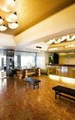 Туры в отель Toya Kanko Hotel