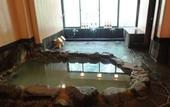 Туры в отель Ryokan Kiritani Hakoneso