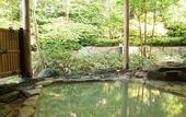 Туры в отель Ryokan Kiritani Hakoneso