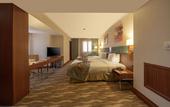 Туры в отель Lamec Hotel Business