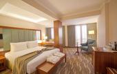 Туры в отель Lamec Hotel Business