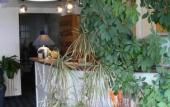 Туры в отель Hotel La Marine