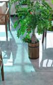 Туры в отель Aewol Oceanstay