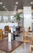 Туры в отель Aewol Oceanstay