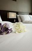 Туры в отель Ramada by Wyndham Gangwon Sokcho