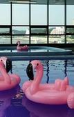 Туры в отель Ramada by Wyndham Gangwon Sokcho