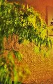Туры в отель Hostel&Information SAMURISE