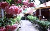Туры в отель Adang Island Resort