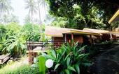 Туры в отель Adang Island Resort