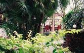 Туры в отель Adang Island Resort