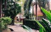 Туры в отель Adang Island Resort