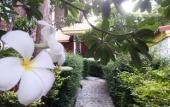 Туры в отель Adang Island Resort