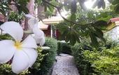 Туры в отель Adang Island Resort