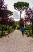 Туры в отель Villa Monte Mario