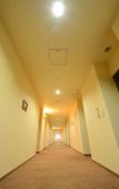 Туры в отель Hotel Lavenir