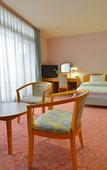 Туры в отель Hotel Lavenir