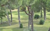 Туры в отель Hotel Salus Terme - Adults Only