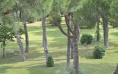 Туры в отель Hotel Salus Terme - Adults Only