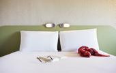 Туры в отель Hotel Ibis Budget Montelimar