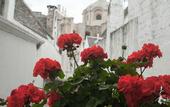 Туры в отель Sotto Le Cummerse Albergo Diffuso