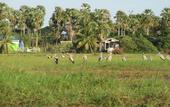 Туры в отель Ao Thai Resort