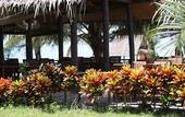 Туры в отель Ao Thai Resort
