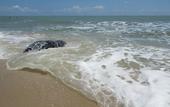 Туры в отель Ao Thai Resort
